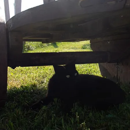 Lejlighed Cielo Y Mar *