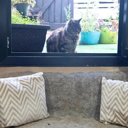 Cielo Y Mar Apartamento *