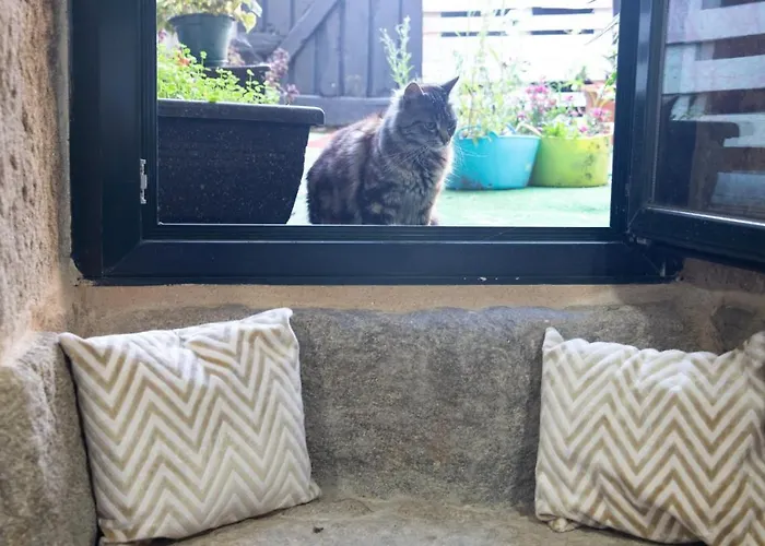 Cielo Y Mar Апартаменты *